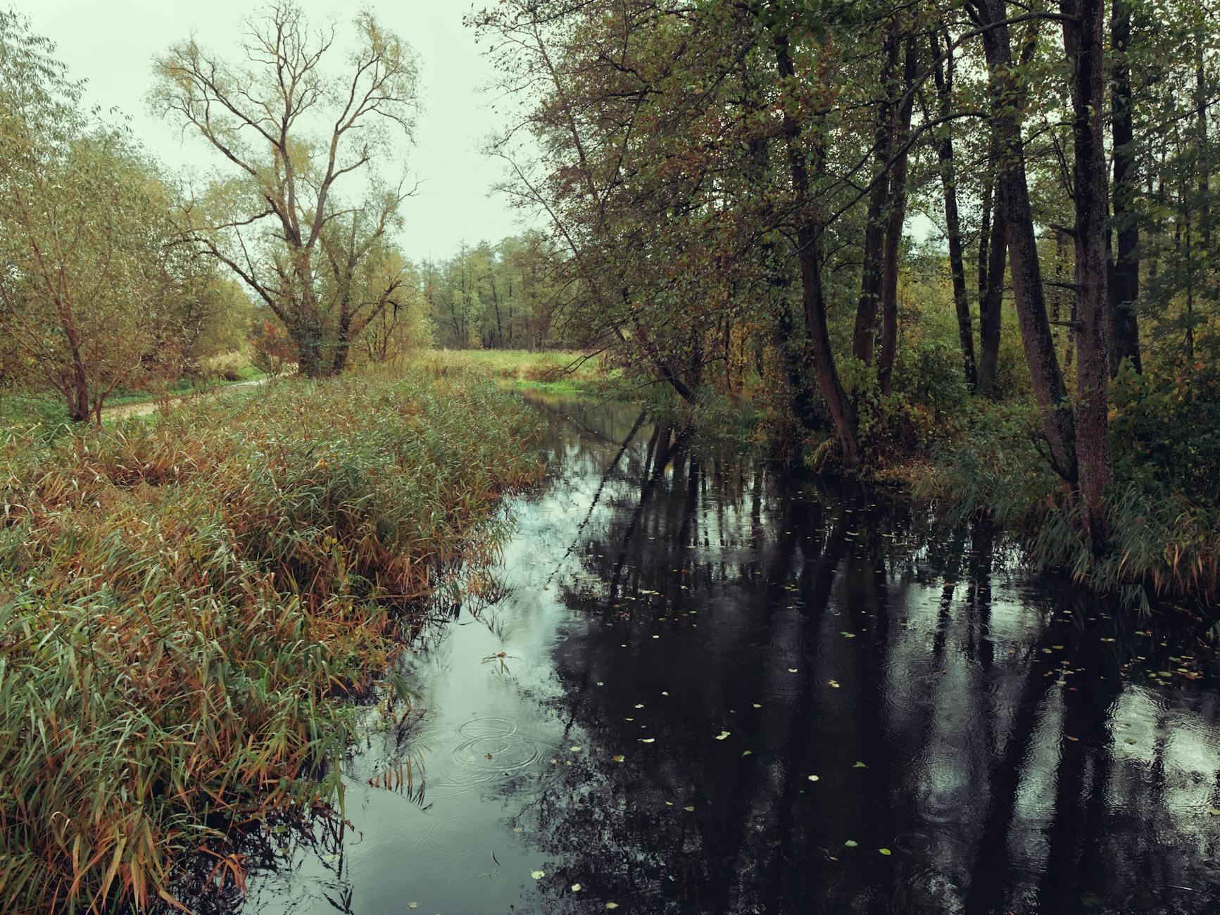 Serene autumn view of a river surrounded by lush trees in Supraśl, Poland.