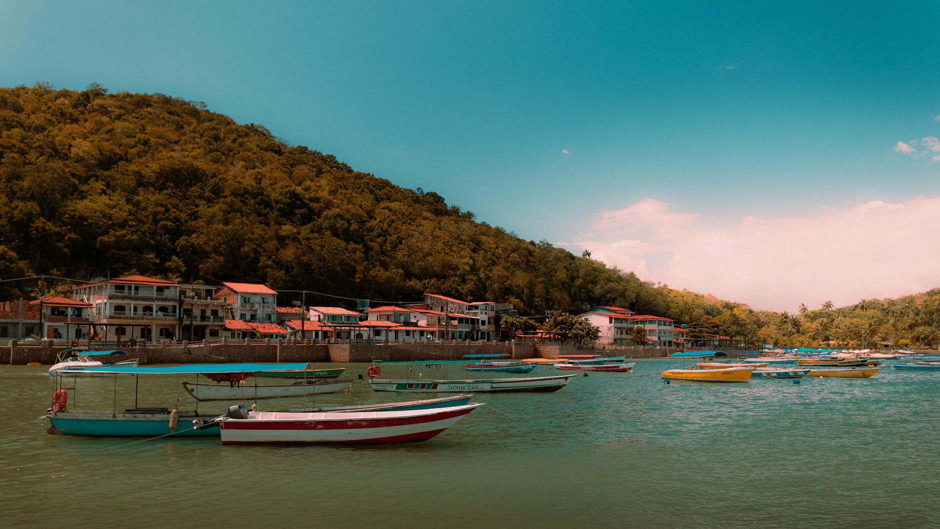 Free stock photo of calm water, coastal village, colorful boats