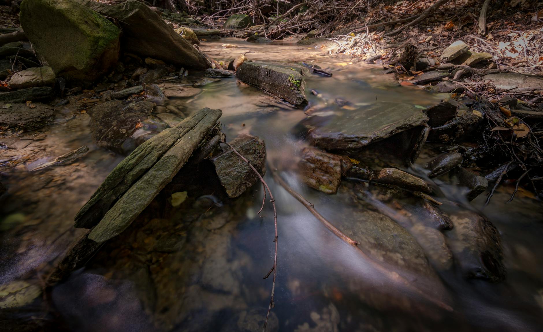 Serene forest stream flowing over mossy rocks and leaves in the autumn light.