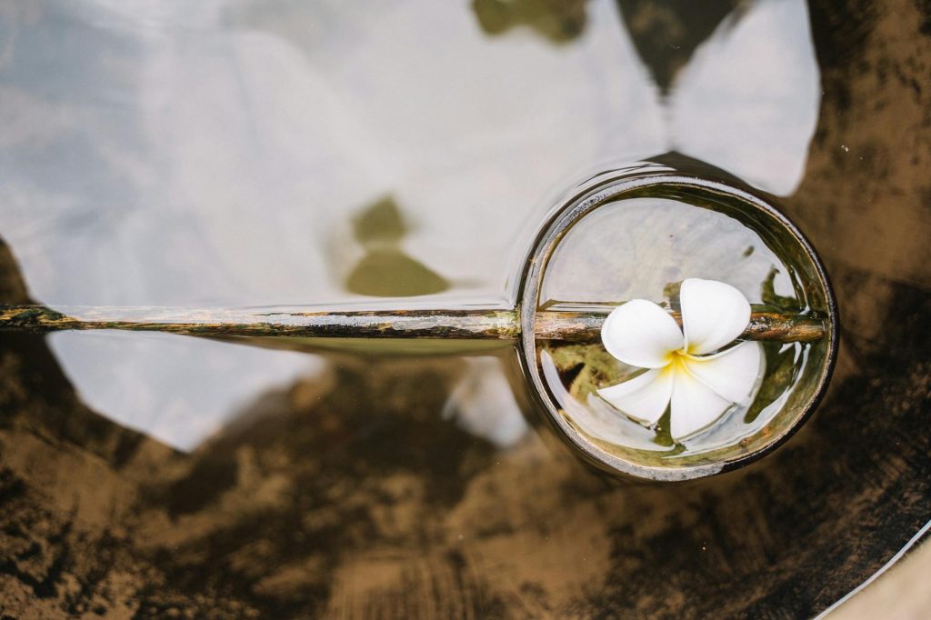 Top view of a frangipani flower floating in water, creating a tranquil reflection.