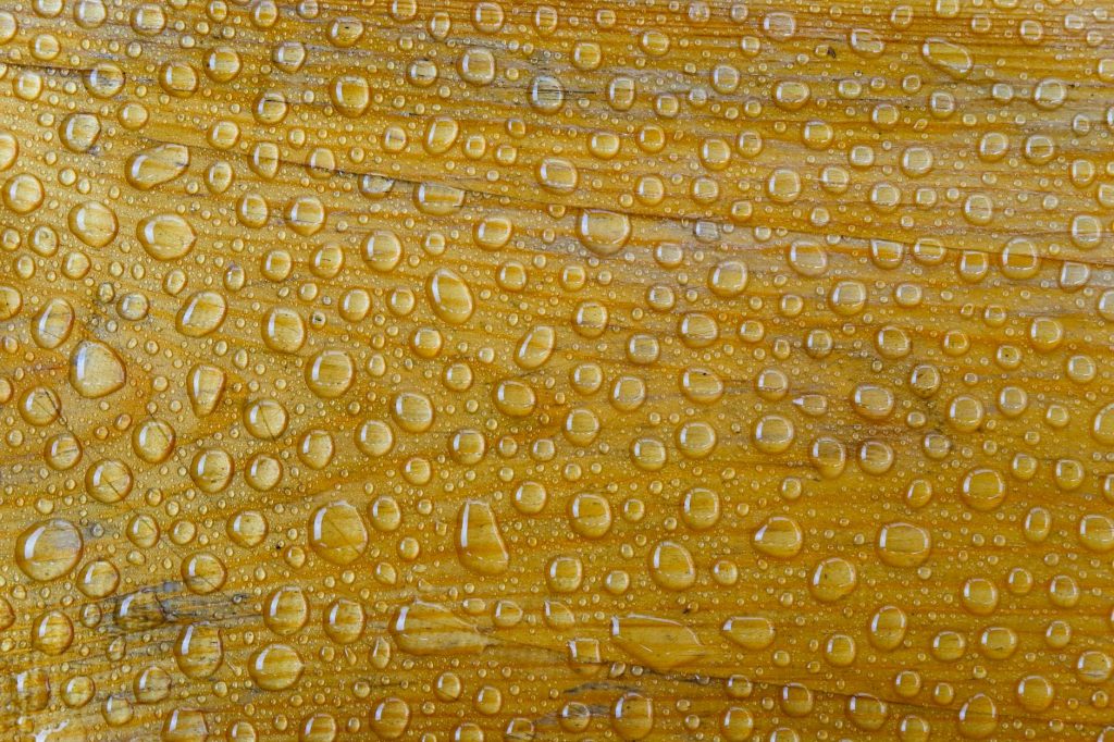 Close-up of water droplets on a textured yellow wooden surface creating a natural abstract pattern.
