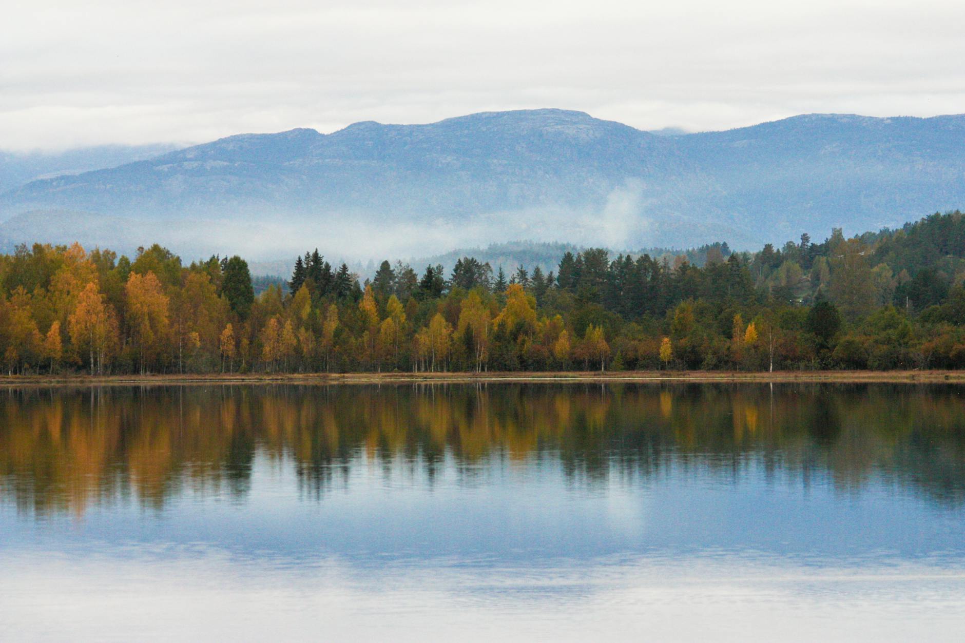 Serene autumn landscape with colorful trees and reflections in Telemark, Norway.