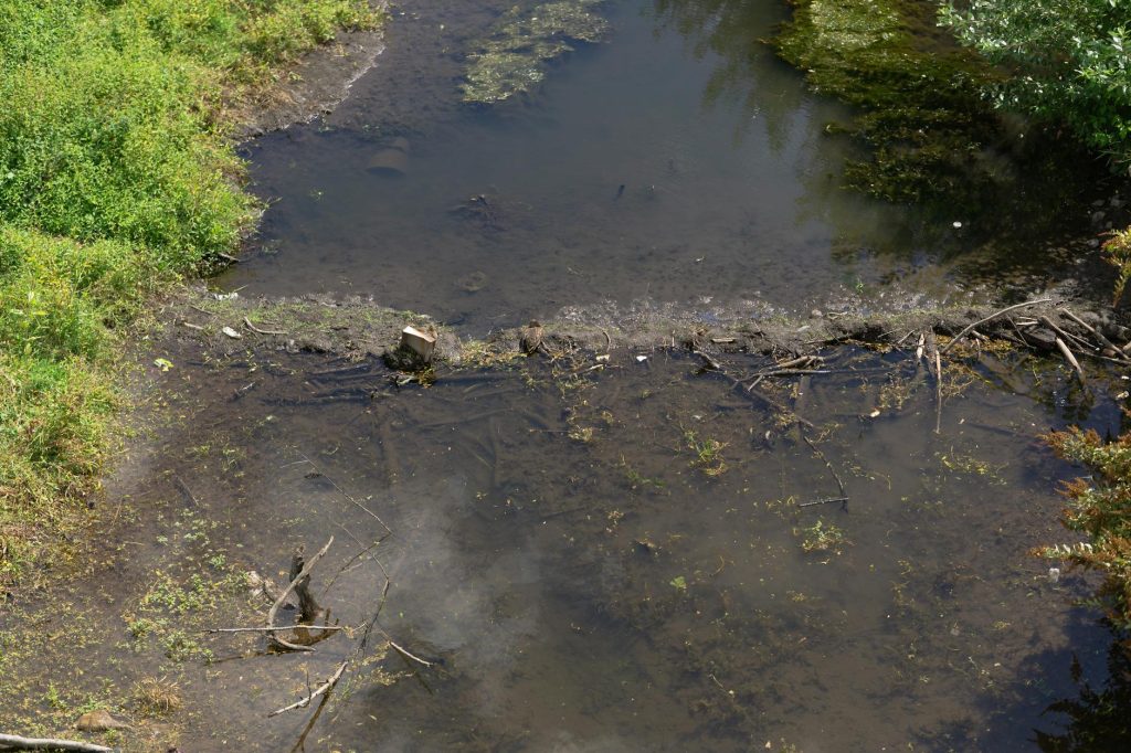 Discover the natural muddy riverbank with green vegetation and stagnant water from a high angle view.