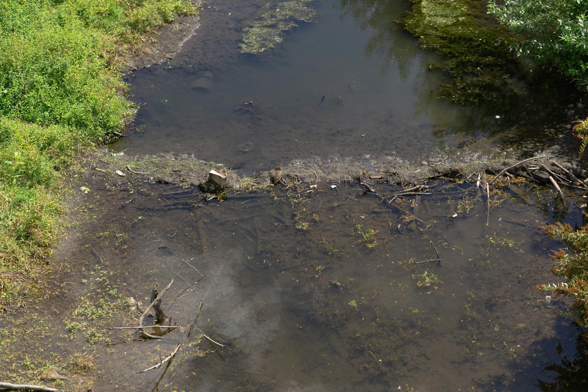 Discover the natural muddy riverbank with green vegetation and stagnant water from a high angle view.